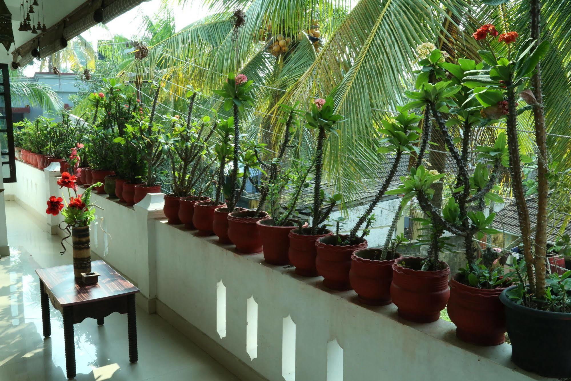 Dream Catcher Home Stay Kochi Ngoại thất bức ảnh